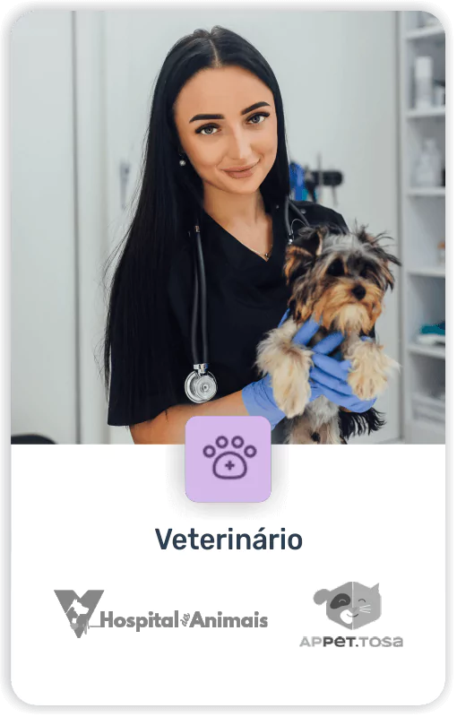 agência de marketing digital